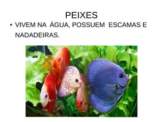 PEIXES
● VIVEM NA ÁGUA, POSSUEM ESCAMAS E
NADADEIRAS.
 