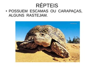 RÉPTEIS
● POSSUEM ESCAMAS OU CARAPAÇAS,
ALGUNS RASTEJAM.
 