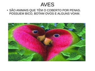 AVES
● SÃO ANIMAIS QUE TÊM O COBERTO POR PENAS.
POSSUEM BICO, BOTAM OVOS E ALGUNS VOAM.
 