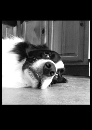 Caroline Goodlett20091231_0004.jpg