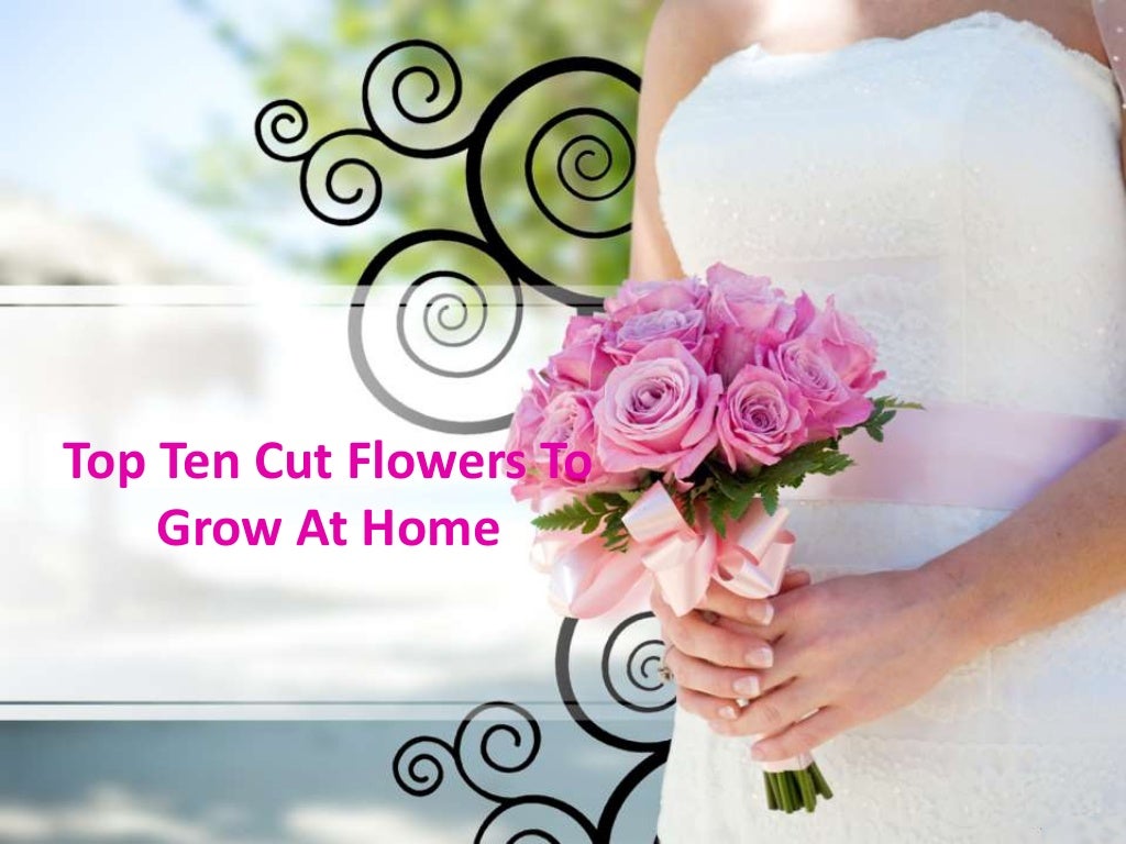 Top Ten Cut Flowers To Grow At Home