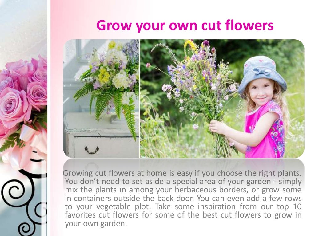 Top Ten Cut Flowers To Grow At Home