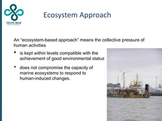 Ecosystem Approach
An “ecosystem-based approach” means the collective pressure of
human activities
• is kept within levels...