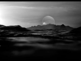 Caroline yanka   jose diniz