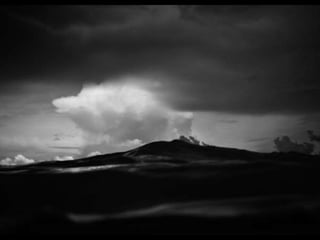 Caroline yanka   jose diniz