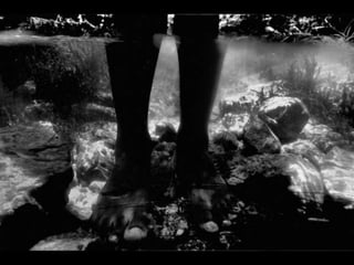 Caroline yanka   jose diniz