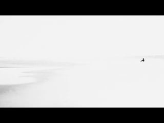 Caroline yanka   jose diniz