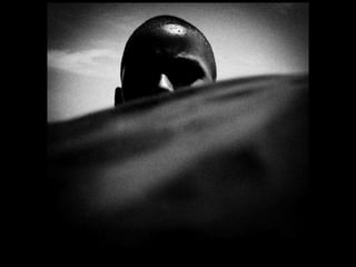 Caroline yanka   jose diniz