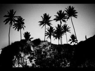 Caroline yanka   jose diniz