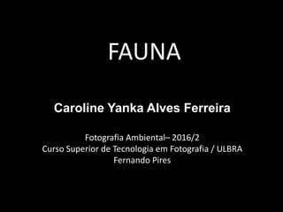 FAUNA
Caroline Yanka Alves Ferreira
Fotografia Ambiental– 2016/2
Curso Superior de Tecnologia em Fotografia / ULBRA
Fernando Pires
 