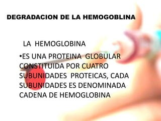 DEGRADACION DE LA HEMOGOBLINA



   LA HEMOGLOBINA
  •ES UNA PROTEINA GLOBULAR
  CONSTITUIDA POR CUATRO
  SUBUNIDADES PROTEICAS, CADA
  SUBUNIDADES ES DENOMINADA
  CADENA DE HEMOGLOBINA
 