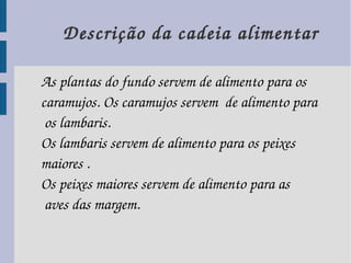 Descrição da cadeia alimentar

As plantas do fundo servem de alimento para os 
caramujos. Os caramujos servem  de alimento para
 os lambaris. 
Os lambaris servem de alimento para os peixes 
maiores .
Os peixes maiores servem de alimento para as
 aves das margem.
 