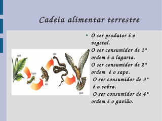       Cadeia alimentar terrestre
                 ●   O ser produtor é o 
                     vegetal. 
                 ●   O ser consumidor de 1 ° 
                     ordem é a lagarta.
                 ●   O ser consumidor de 2 ° 
                     ordem  é o sapo.
                 ●    O ser consumidor de 3 °
                      é a cobra.
                 ●    O ser consumidor de 4 ° 
                     ordem é o gavião.
 