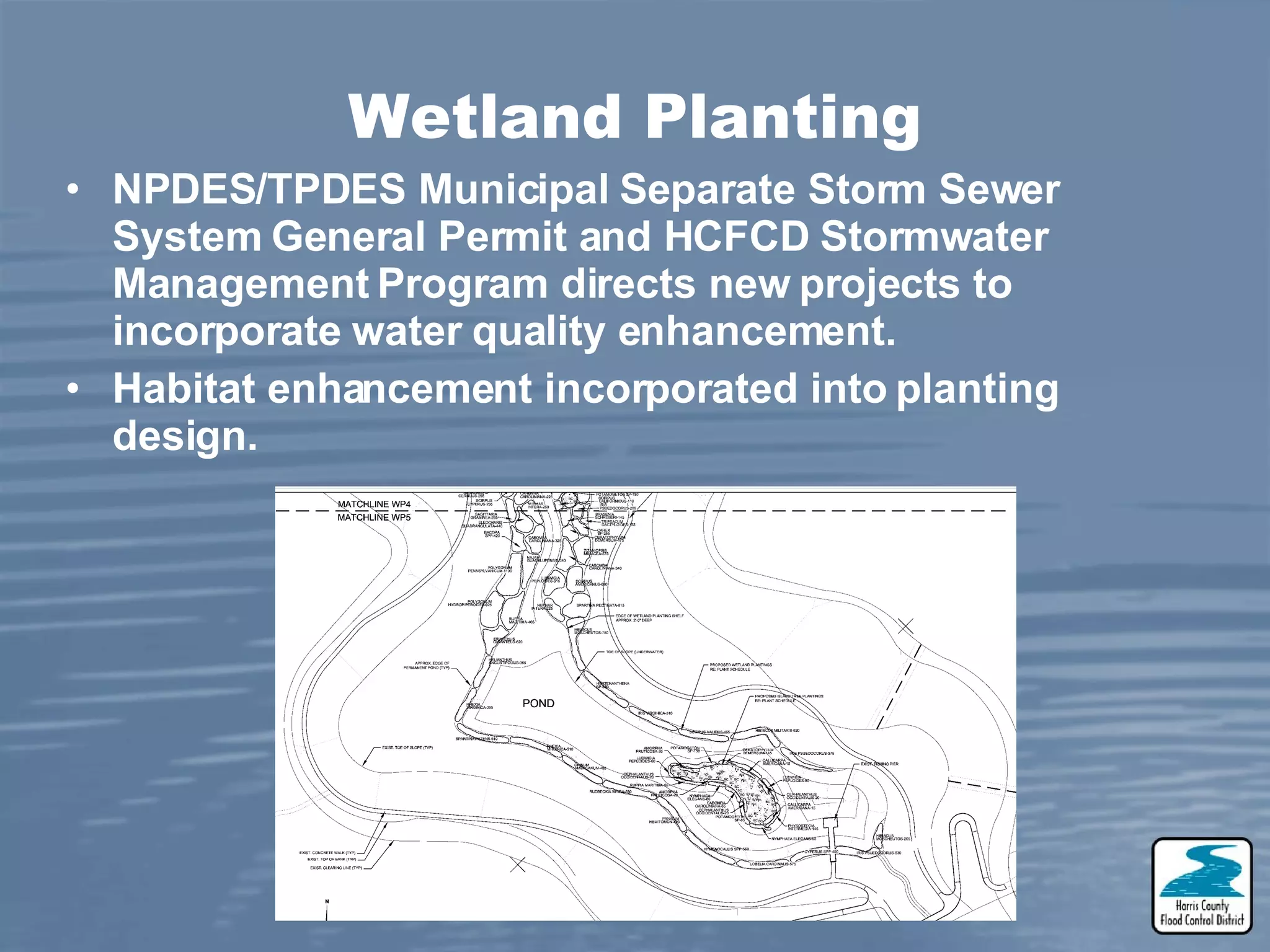 Wetland Planting NPDES/TPDES Municipal Separate Storm Sewer System General Permit and HCFCD Stormwater Management Program directs new projects to incorporate water quality enhancement. Habitat enhancement incorporated into planting design.