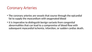 Coronary Arteries
• The coronary arteries are vessels that course through the epicardial
fat to supply the myocardium with oxygenated blood
• it is imperative to distinguish benign variants from congenital
abnormalities that can lead to a compromise of blood flow with
subsequent myocardial ischemia, infarction, or sudden cardiac death.
 