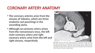 CORONARY ARTERY ANATOMY
• The coronary arteries arise from the
sinuses of Valsalva, which are three
anatomic out pouchings in the
ascending aorta.
• Although no coronary artery arises
from the noncoronary sinus, the left
main coronary artery and right
coronary artery arise from the left and
right sinuses, respectively
 