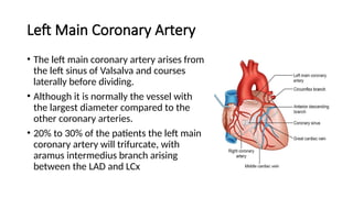 Left Main Coronary Artery
• The left main coronary artery arises from
the left sinus of Valsalva and courses
laterally before dividing.
• Although it is normally the vessel with
the largest diameter compared to the
other coronary arteries.
• 20% to 30% of the patients the left main
coronary artery will trifurcate, with
aramus intermedius branch arising
between the LAD and LCx
 