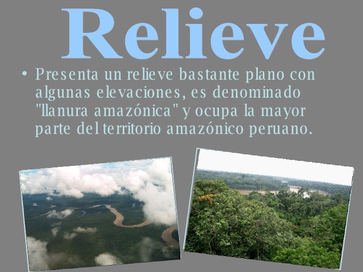 selva baja selva baja