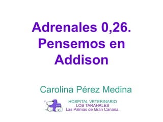 Adrenales 0,26.
Pensemos en
Addison
Carolina Pérez Medina
HOSPITAL VETERINARIO
LOS TARAHALES
Las Palmas de Gran Canaria.
 