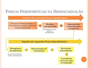 FORÇAS PERISPIRITUAIS NA DESENCARNAÇÃO
Impulso de contração: Força hipodinâmica
Processo de desencarnação: a
Consciência se apaga completa e
momentaneamente

Histólise
perispiritual
(dissolução dos tecidos
orgânicos e
perispirituais)

Absorção dos
remanescentes
energéticos

Impulso de expansão: Força hiperdinâmica
Histogênese
perispiritual

Reconstrução da
Consciência

Revivência
mneumônica

(auto-reconstrução dos
tecidos perispirituais)

Consciência
entra em sono
revitalizador

10

 