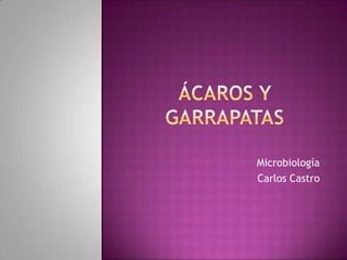 Microbiología
Carlos Castro
 