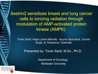 Sestrin2 sensitizes breast and lung cancer
cells to ionizing radiation through
modulation of AMP-activated protein
kinase (AMPK).
Toran Sanli, Katja Linher-Melville, Yaryna Storozhuk, Gurmit
Singh, & Theodoros Tsakiridis
Presented by: Toran Sanli, M.Sc., Ph.D.
Department of Oncology,
McMaster University
 