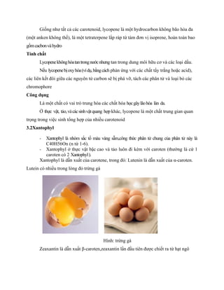 Giống như tất cả các carotenoid, lycopene là một hydrocarbon không bão hòa đa
(một anken không thế), là một tetraterpene lắp ráp từ tám đơn vị isoprene, hoàn toàn bao
gồm cacbon và hydro
Tính chất
       Lycopene không hòa tan trong nước nhưng tan trong dung môi hữu cơ và các loại dầu.
       Nếu lycopene bị oxy hóa (ví dụ, bằng cách phản ứng với các chất tẩy trắng hoặc acid),
các liên kết đôi giữa các nguyên tử carbon sẽ bị phá vỡ, tách các phân tử và loại bỏ các
chromophore
Công dụng
       Là một chất có vai trò trung hòa các chất hóa học gây lão hóa làn da.
       Ở thực vật, tảo, và các sinh vật quang hợp khác, lycopene là một chất trung gian quan
trọng trong việc sinh tổng hợp của nhiều carotenoid
3.2Xantophyl

       - Xantophyl là nhóm sắc tố màu vàng sẫm,công thức phân tử chung của phân tử này là
         C40H56On (n từ 1-6).
       - Xantophyl ở thực vật bậc cao và tảo luôn đi kèm với caroten (thường là cứ 1
         caroten có 2 Xantophyl ).
       Xantophyl là dẫn xuất của carotene, trong đó: Lutenin là dẫn xuất của α-caroten.
Lutein có nhiều trong lòng đỏ trứng gà




                                          Hình: trứng gà
       Zeaxantin là dẫn xuất β-caroten,zeaxantin lần đầu tiên được chiết ra từ hạt ngô
 