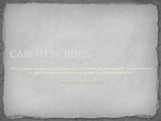 CAROTENOIDES.
Son un grupo numero de pigmentos muy difundido de los vegetales. Son insolubles
en agua, aunque se disuelven en grasas y solventes orgánicos.
Luis Gerardo Luna Becerra

 