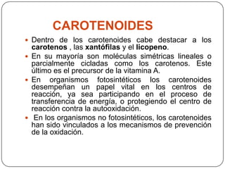 CAROTENOIDES
 Dentro de los carotenoides cabe destacar a los
  carotenos , las xantófilas y el licopeno.
 En su mayoría son moléculas simétricas lineales o
  parcialmente cicladas como los carotenos. Este
  último es el precursor de la vitamina A.
 En organismos fotosintéticos los carotenoides
  desempeñan un papel vital en los centros de
  reacción, ya sea participando en el proceso de
  transferencia de energía, o protegiendo el centro de
  reacción contra la autooxidación.
 En los organismos no fotosintéticos, los carotenoides
  han sido vinculados a los mecanismos de prevención
  de la oxidación.
 