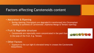 Factors affecting Carotenoids content
• Maturation & Ripening
• During ripening Chloroplasts are degraded & transformed into Chromoplast
, leading to synthesis of Carotenoids ( Alphonso Mango & Tomato ripening).
• Fruit & Vegetable structure
• Carotenoids are reportedly more concentrated in the peel than
in the pulp of the fruit. E.g. Tomato
• Other Factors
• Exposure to the sun light & elevated temp in creases the Carotenoids
biosynthesis.
 