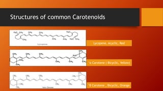 Structures of common Carotenoids
Lycopene, Acyclic, Red
‘α Carotene ( Bicyclic, Yellow)
‘β Carotene , Bicyclic, Orange
 