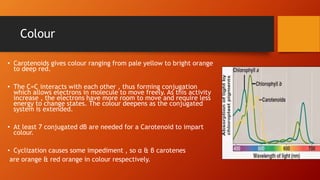 Colour
• Carotenoids gives colour ranging from pale yellow to bright orange
to deep red.
• The C=C interacts with each other , thus forming conjugation
which allows electrons in molecule to move freely. As this activity
increase , the electrons have more room to move and require less
energy to change states. The colour deepens as the conjugated
system is extended.
• At least 7 conjugated dB are needed for a Carotenoid to impart
colour.
• Cyclization causes some impediment , so α & β carotenes
are orange & red orange in colour respectively.
 