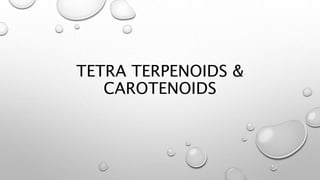 TETRA TERPENOIDS &
CAROTENOIDS
 