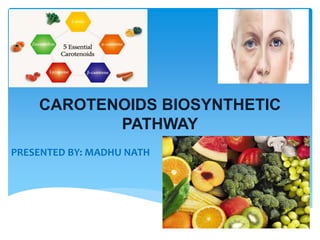CAROTENOIDS BIOSYNTHETIC
PATHWAY
PRESENTED BY: MADHU NATH
 