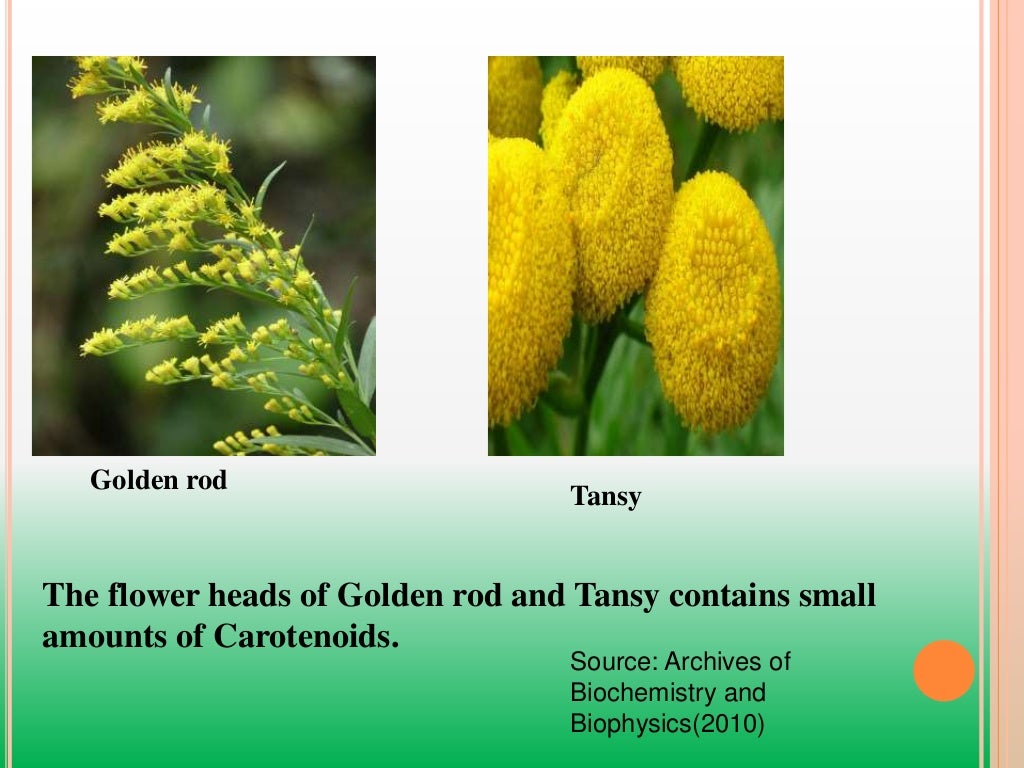 Carotenoids in flowers