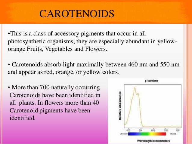 What do carotenoids do