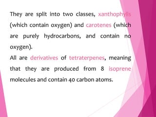 They are split into two classes, xanthophylls
(which contain oxygen) and carotenes (which
are purely hydrocarbons, and contain no
oxygen).
All are derivatives of tetraterpenes, meaning
that they are produced from 8 isoprene
molecules and contain 40 carbon atoms.
 