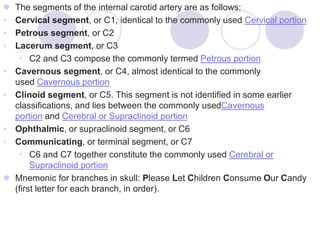  The segments of the internal carotid artery are as follows:
• Cervical segment, or C1, identical to the commonly used Cervical portion
• Petrous segment, or C2
• Lacerum segment, or C3
• C2 and C3 compose the commonly termed Petrous portion
• Cavernous segment, or C4, almost identical to the commonly
used Cavernous portion
• Clinoid segment, or C5. This segment is not identified in some earlier
classifications, and lies between the commonly usedCavernous
portion and Cerebral or Supraclinoid portion
• Ophthalmic, or supraclinoid segment, or C6
• Communicating, or terminal segment, or C7
• C6 and C7 together constitute the commonly used Cerebral or
Supraclinoid portion
 Mnemonic for branches in skull: Please Let Children Consume Our Candy
(first letter for each branch, in order).
 