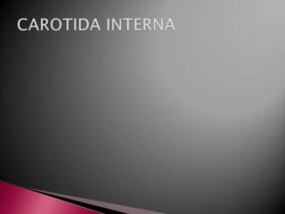 Carotida externa (1)