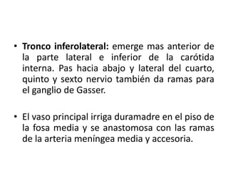 • Tronco inferolateral: emerge mas anterior de
la parte lateral e inferior de la carótida
interna. Pas hacia abajo y lateral del cuarto,
quinto y sexto nervio también da ramas para
el ganglio de Gasser.
• El vaso principal irriga duramadre en el piso de
la fosa media y se anastomosa con las ramas
de la arteria meníngea media y accesoria.
 