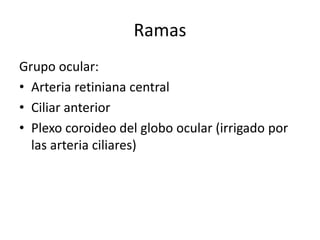Ramas
Grupo ocular:
• Arteria retiniana central
• Ciliar anterior
• Plexo coroideo del globo ocular (irrigado por
las arteria ciliares)
 