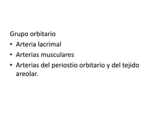 Grupo orbitario
• Arteria lacrimal
• Arterias musculares
• Arterias del periostio orbitario y del tejido
areolar.
 