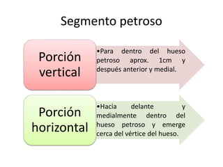 Segmento petroso
•Para dentro del hueso
petroso aprox. 1cm y
después anterior y medial.
Porción
vertical
•Hacia delante y
medialmente dentro del
hueso petroso y emerge
cerca del vértice del hueso.
Porción
horizontal
 