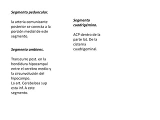 Segmento peduncular.
la arteria comunicante
posterior se conecta a la
porción medial de este
segmento.
Segmento ambiens.
Transcurre post. en la
hendidura hipocampal
entre el cerebro medio y
la circunvolución del
hipocampo.
La art. Cerebelosa sup
esta inf. A este
segmento.
Segmento
cuadrigémino.
ACP dentro de la
parte lat. De la
cisterna
cuadrigeminal.
 