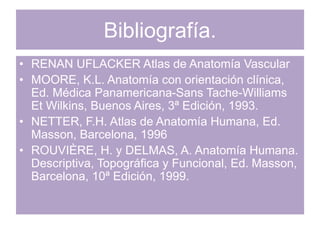 Bibliografía.
• RENAN UFLACKER Atlas de Anatomía Vascular
• MOORE, K.L. Anatomía con orientación clínica,
Ed. Médica Panamericana-Sans Tache-Williams
Et Wilkins, Buenos Aires, 3ª Edición, 1993.
• NETTER, F.H. Atlas de Anatomía Humana, Ed.
Masson, Barcelona, 1996
• ROUVIÈRE, H. y DELMAS, A. Anatomía Humana.
Descriptiva, Topográfica y Funcional, Ed. Masson,
Barcelona, 10ª Edición, 1999.
 