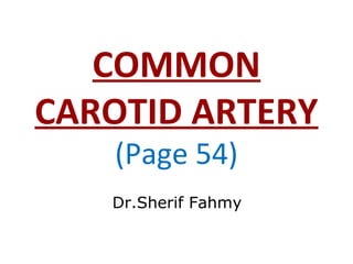 COMMON
CAROTID ARTERY
(Page 54)
Dr.Sherif Fahmy
 