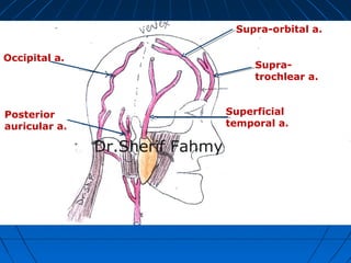 Supra-
trochlear a.
Supra-orbital a.
Superficial
temporal a.
Occipital a.
Posterior
auricular a.
Dr.Sherif Fahmy
 
