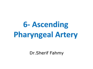 6- Ascending
Pharyngeal Artery
Dr.Sherif Fahmy
 