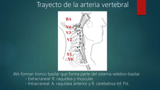AVs forman tronco basilar que forma parte del sistema vetebro-basilar.
- Extracraneal: R. raquídea y muscular.
- Intracraneal: A. raquídea anterior y R. cerebelosa Inf. Pst.
 