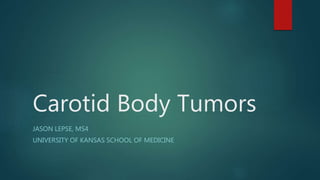 Carotid Body Tumors
JASON LEPSE, MS4
UNIVERSITY OF KANSAS SCHOOL OF MEDICINE
 